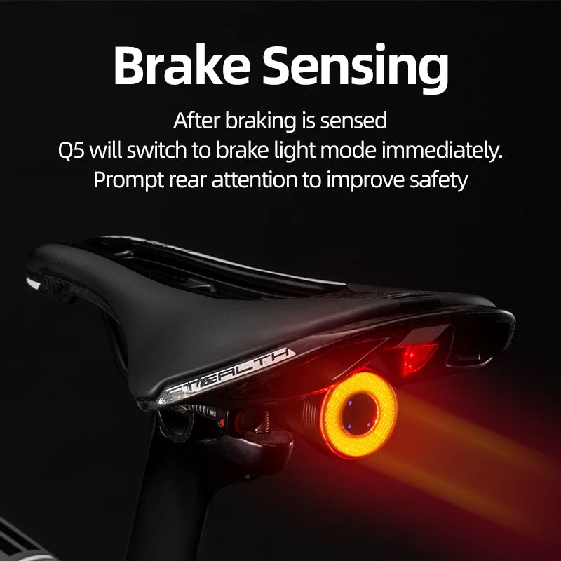 ROCKBROS Smart Auto Brake Sensing Bike Taillight LED Light