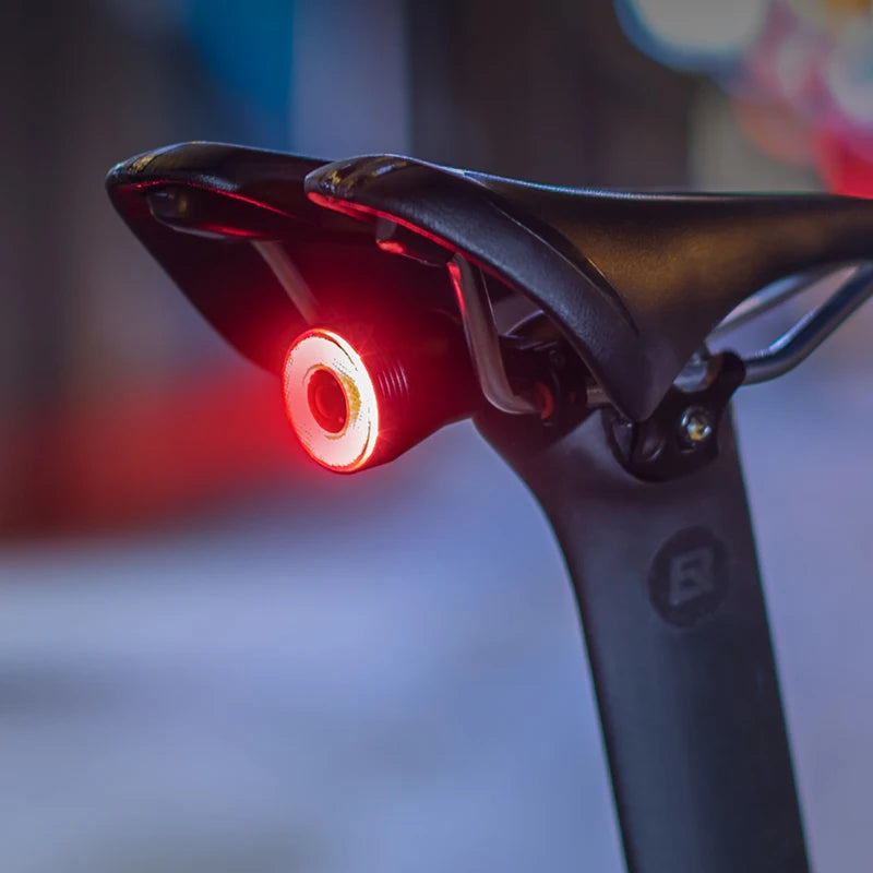 ROCKBROS Smart Auto Brake Sensing Bike Taillight LED Light