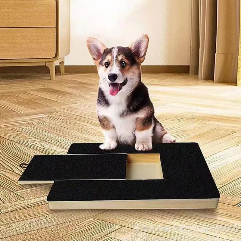 Choice Dog Nail Scratch Board With Built In Treat Box
