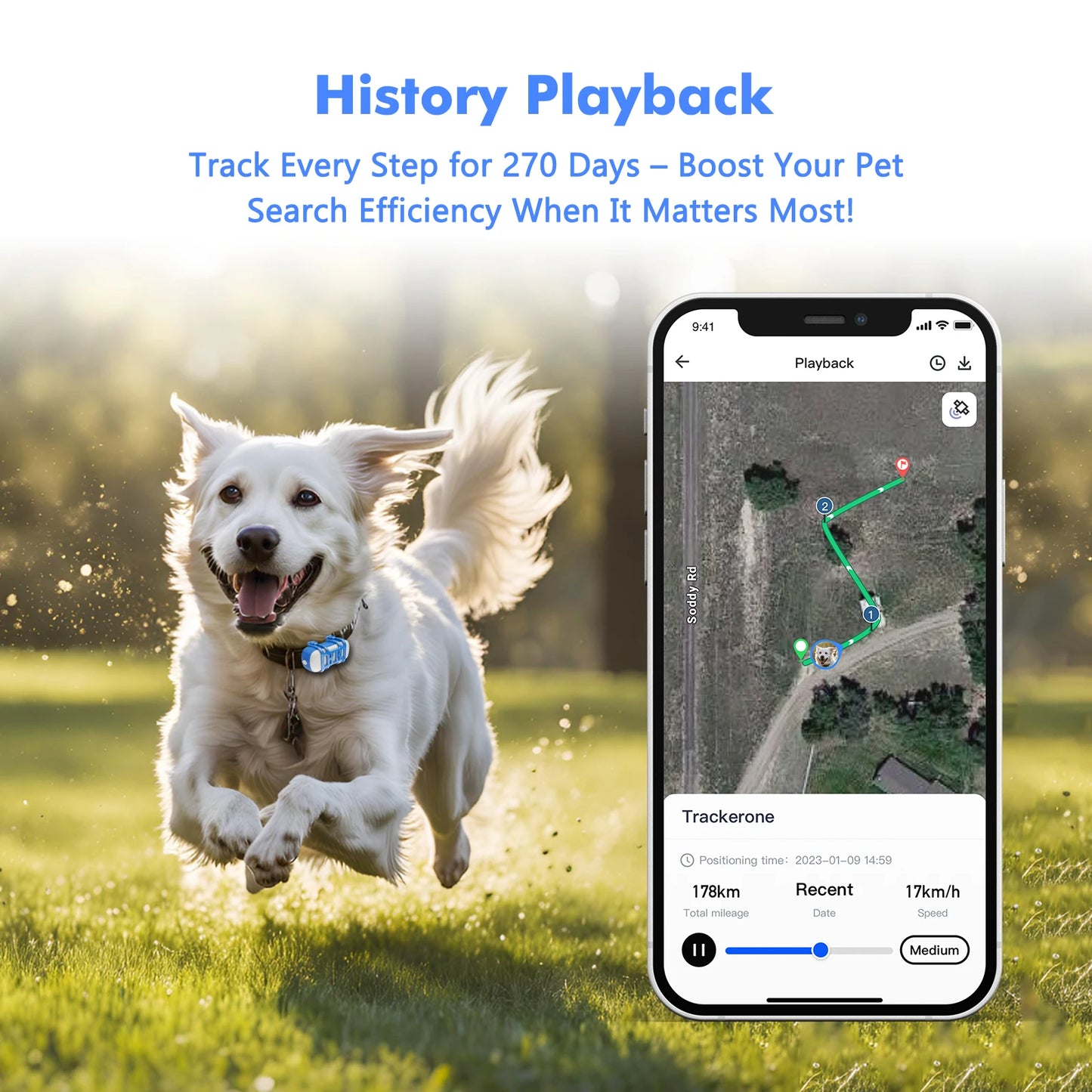 WANWAYTECH 4G GPS Tracker For Pets Waterproof Locator