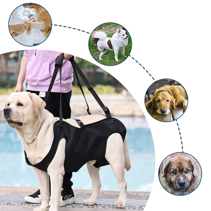 Guangdong Dog Lift Harness Body Support For Injured Dogs