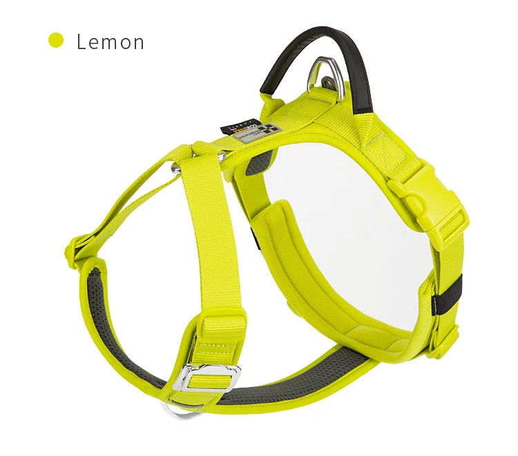Small Combination Pet Harness Nylon Reflective Adjustable