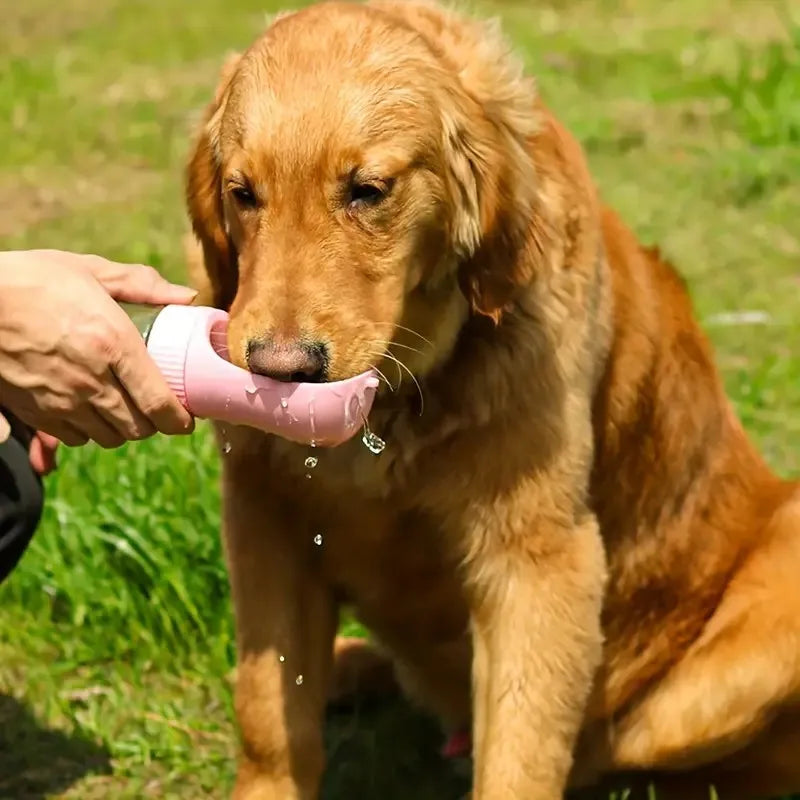 Hign-concerned Portable Dog Water Cup for Outdoor Travel Use