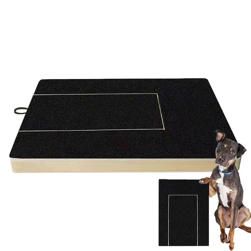 Choice Dog Nail Scratch Board With Built In Treat Box