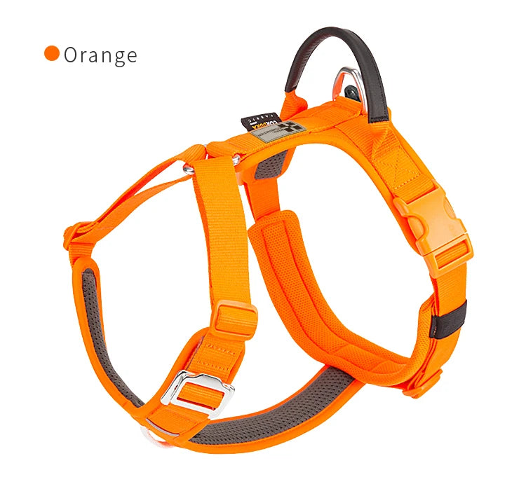 Small Combination Pet Harness Nylon Reflective Adjustable