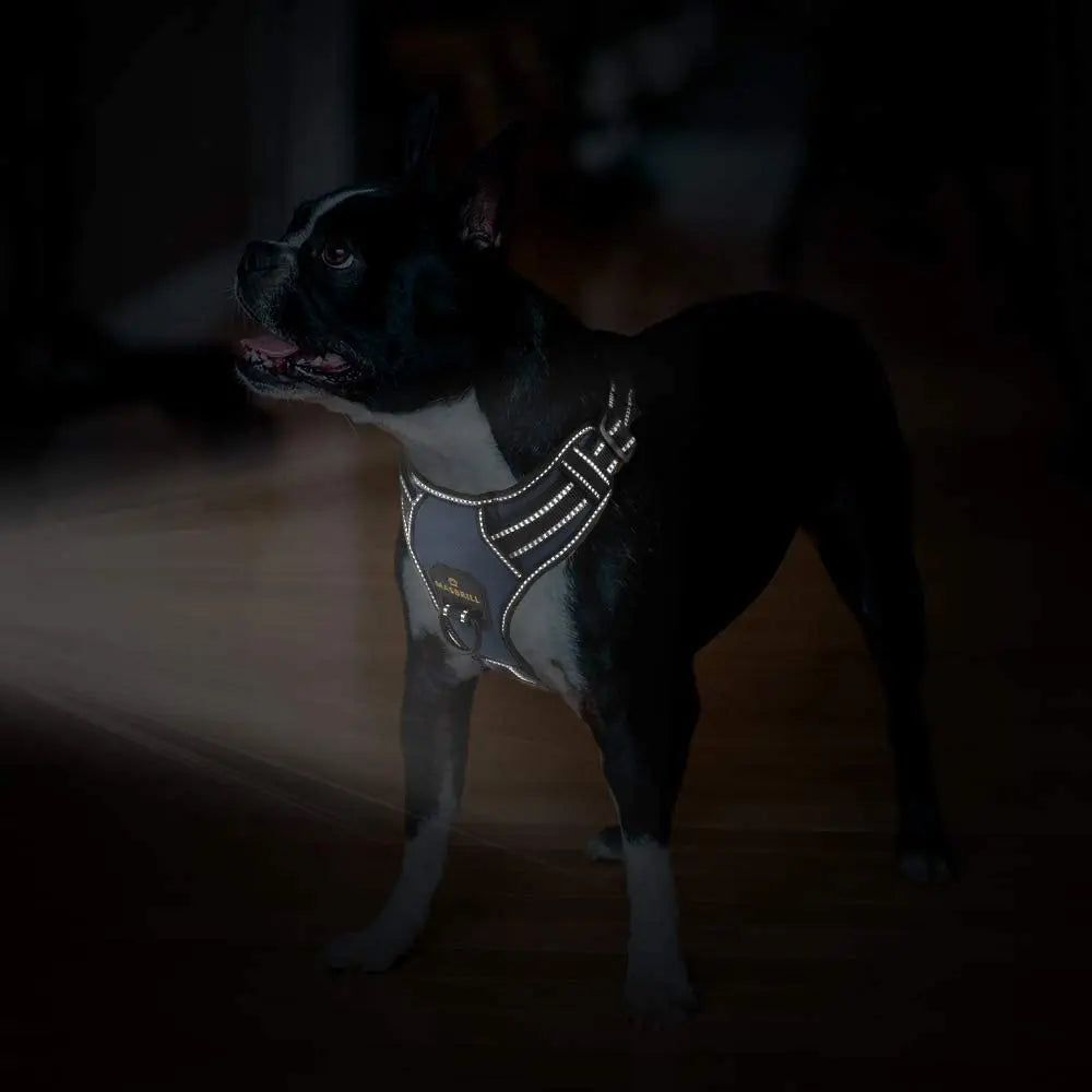 MASBRILLCN Nylon Adjustable No Pull Reflective Dog Harness