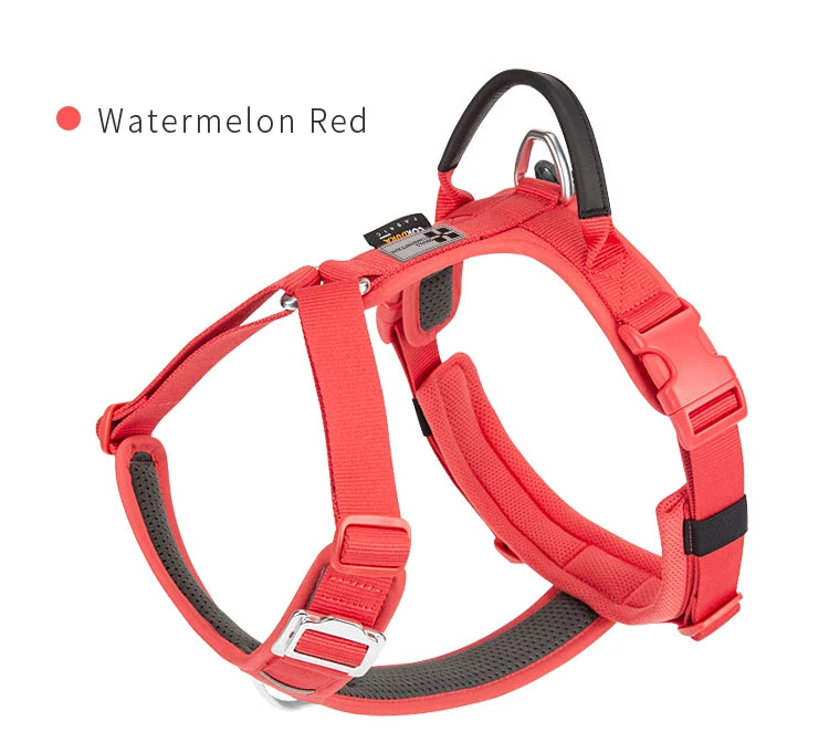 Small Combination Pet Harness Nylon Reflective Adjustable