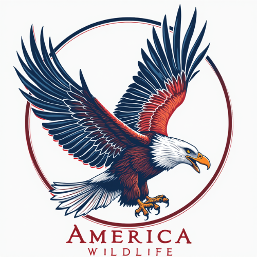 America Wildlife